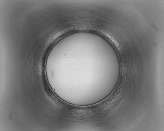 X0000116600631200912110940