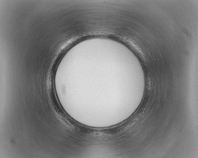 X0000116600632200912110940