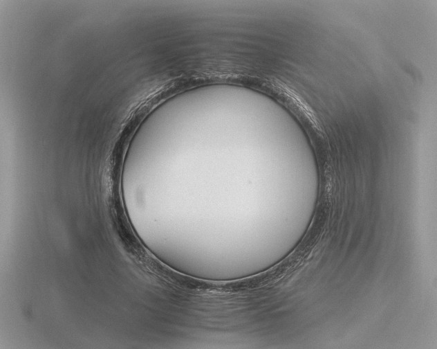 X0000116600635200912110940
