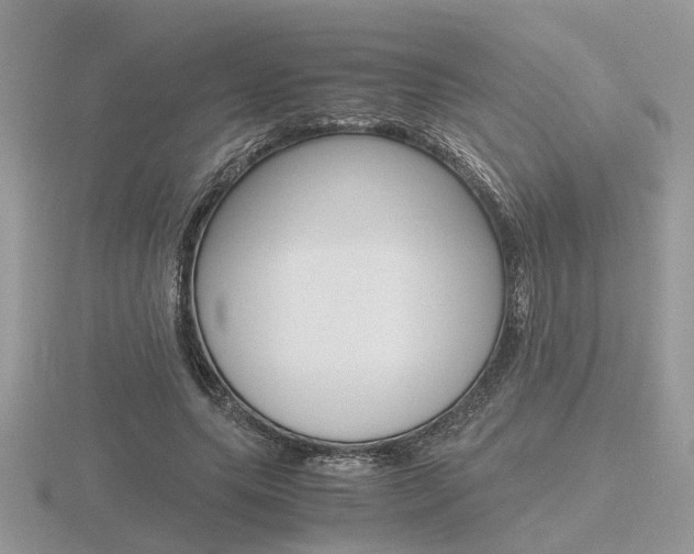 X0000116600639200912110940