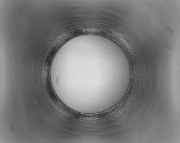 X0000116600645200912110941