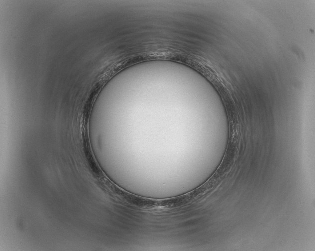 X0000116600647200912110941