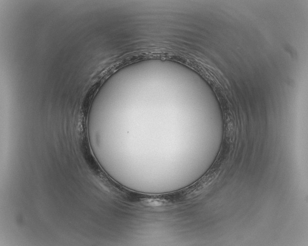 X0000116600654200912110941