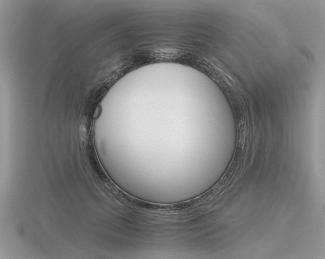 X0000116600655200912110941