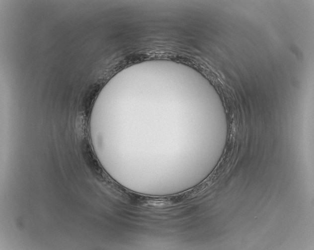 X0000116600659200912110941