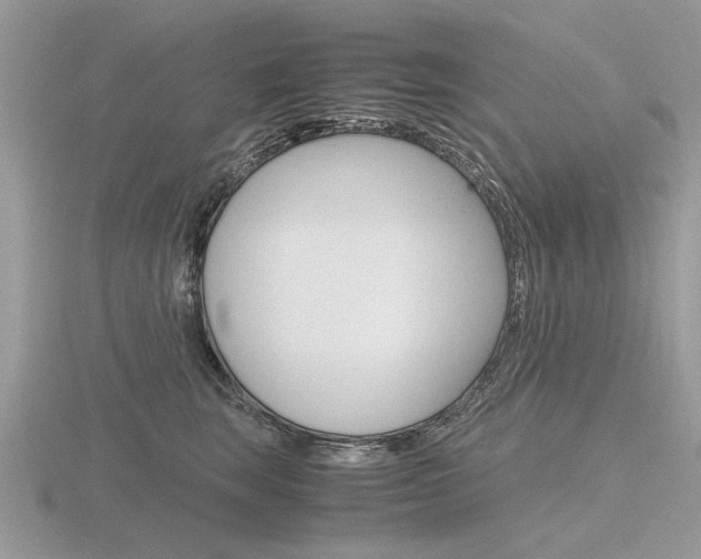 X0000116600663200912110941