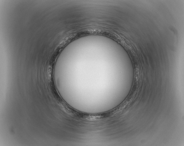 X0000116600664200912110941