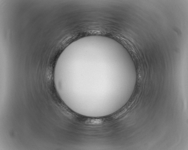 X0000116600665200912110941