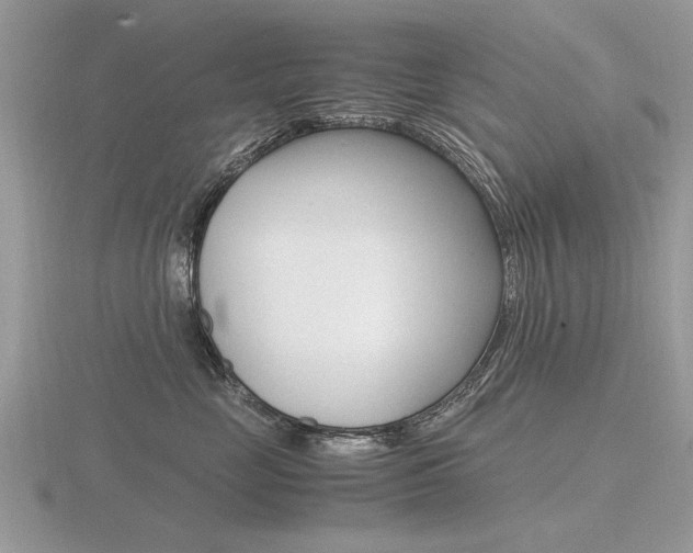 X0000116600669200912110941