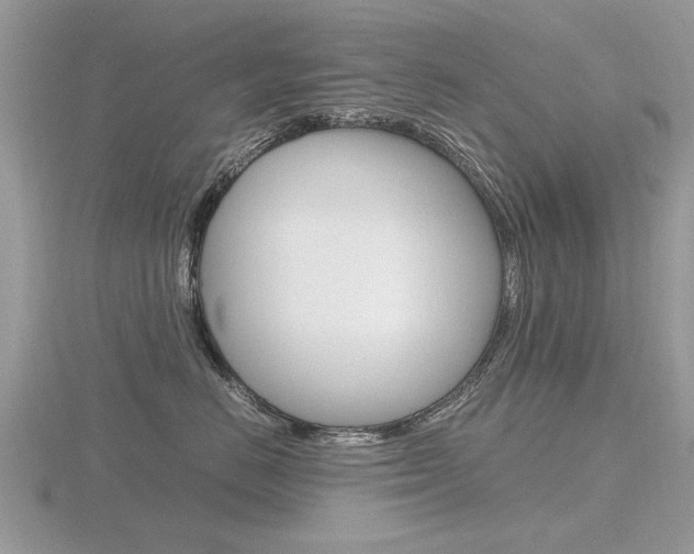 X0000116600670200912110941