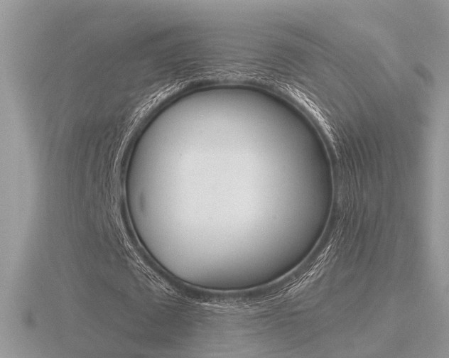 X0000116600673200912110940