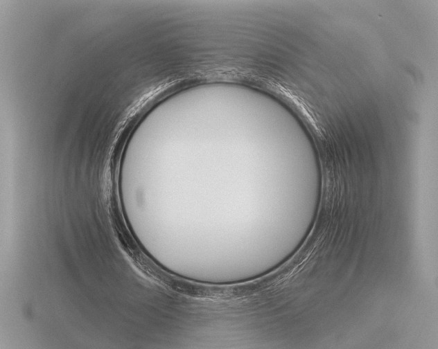 X0000116600674200912110940