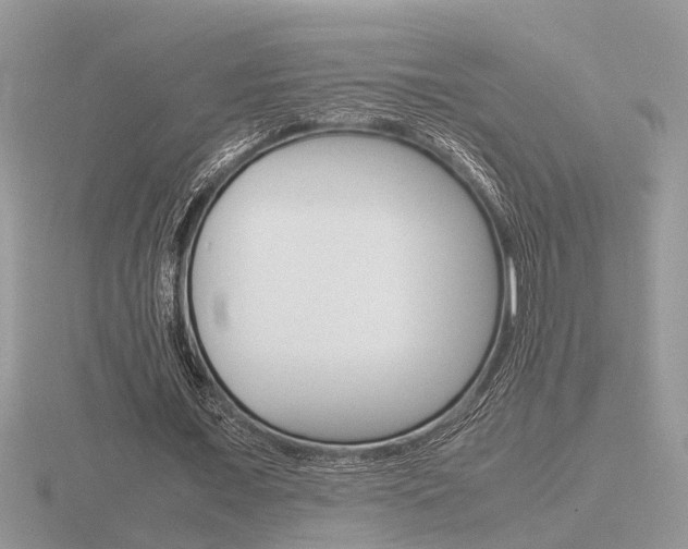 X0000116600675200912110940