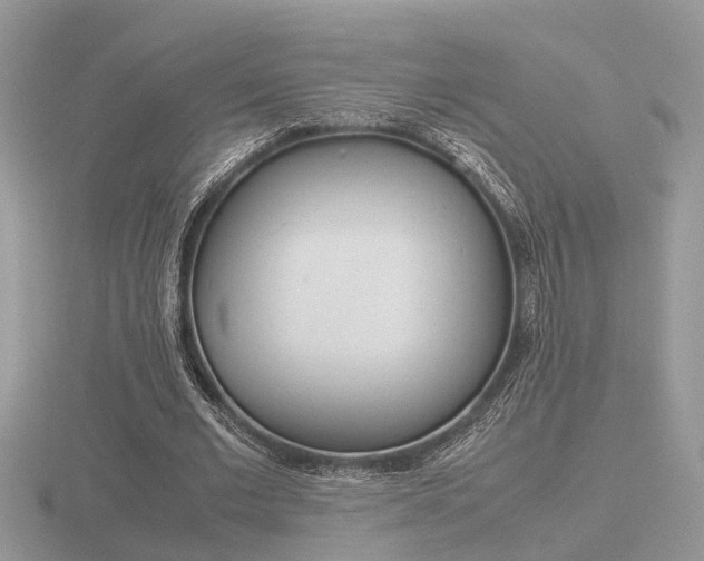 X0000116600677200912110940
