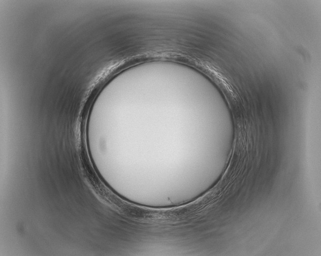 X0000116600678200912110940