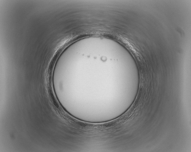 X0000116600679200912110940