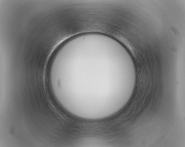 X0000116600680200912110940