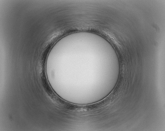 X0000116600687200912110940