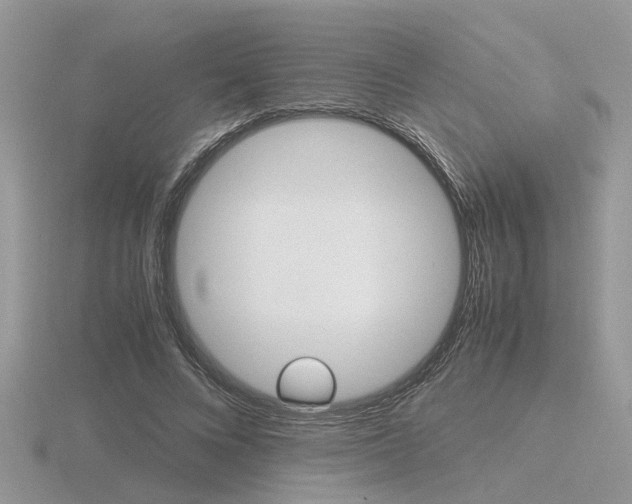 X0000116600688200912110940