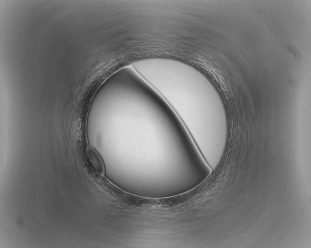 X0000116600689200912110940