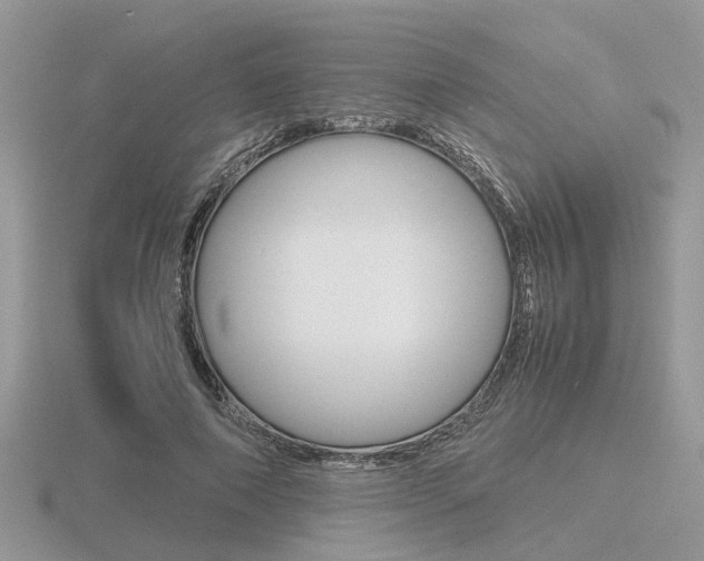X0000116600690200912110940
