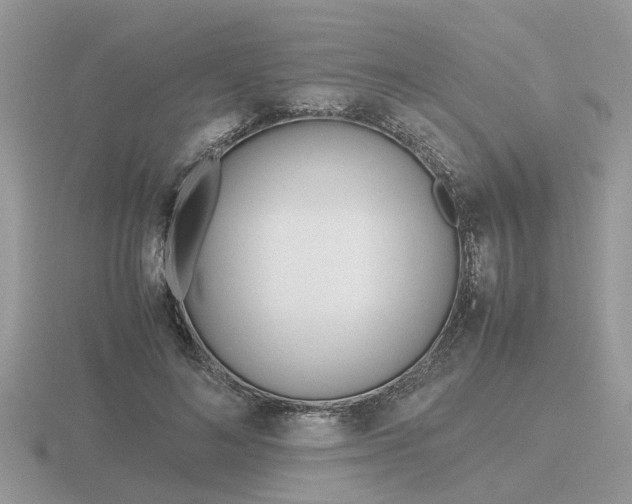 X0000116600692200912110940