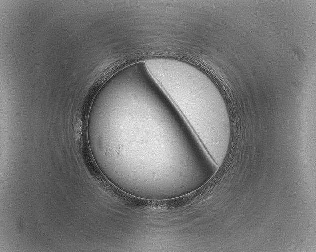 X0000116600693200912110940