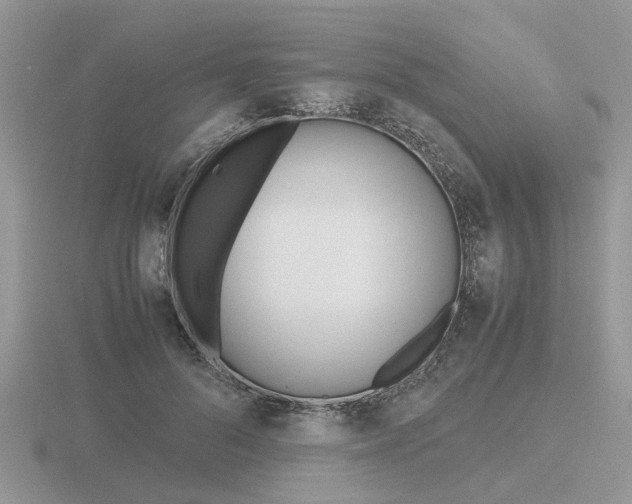 X0000116600696200912110940