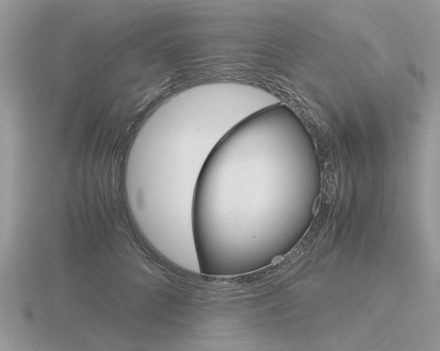 X0000116600704200912110940