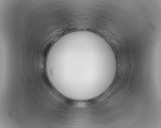 X0000116600710200912110940