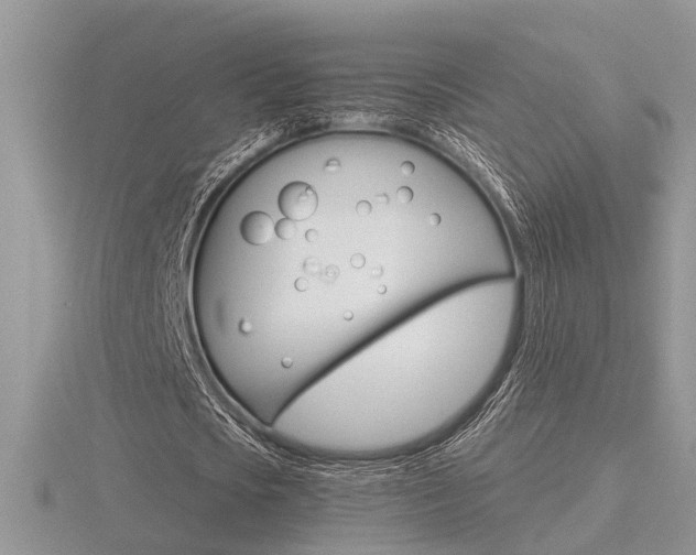 X0000116600721200912110939