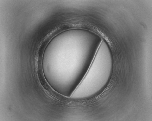 X0000116600722200912110939