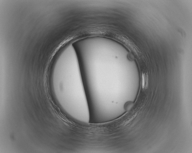 X0000116600723200912110939