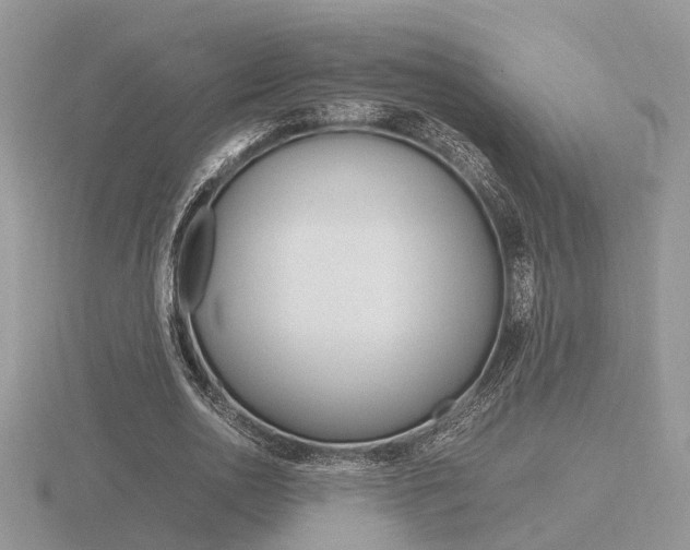X0000116600726200912110939