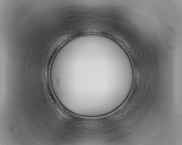 X0000116600729200912110939