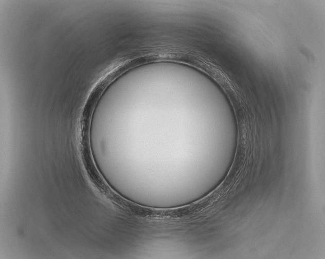 X0000116600730200912110939