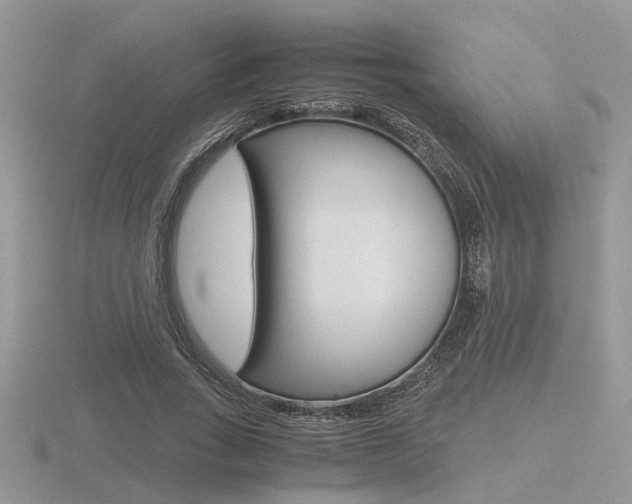 X0000116600735200912110939