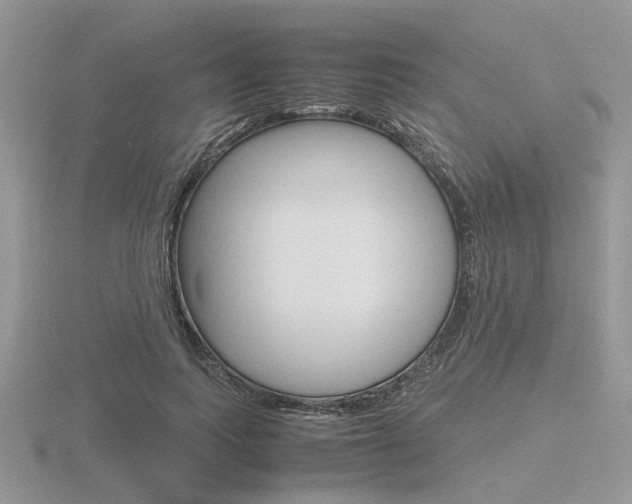 X0000116600743200912110939