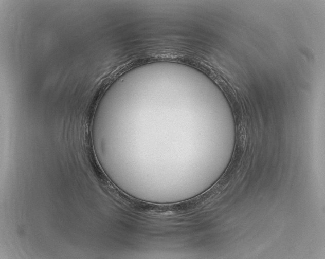 X0000116600747200912110939