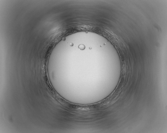 X0000116600749200912110939