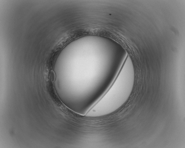 X0000116600750200912110939