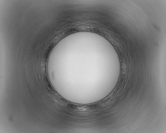 X0000116600753200912110939