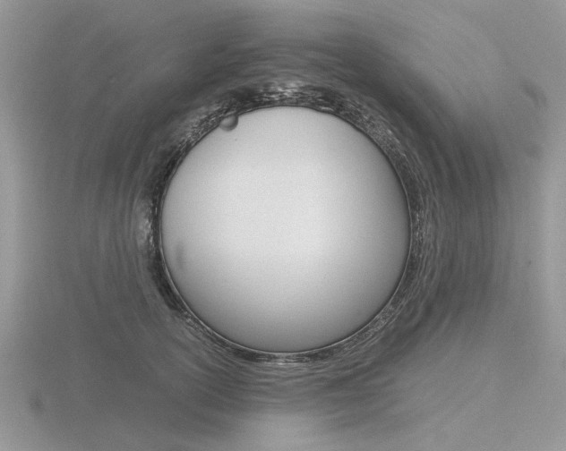 X0000116600754200912110939