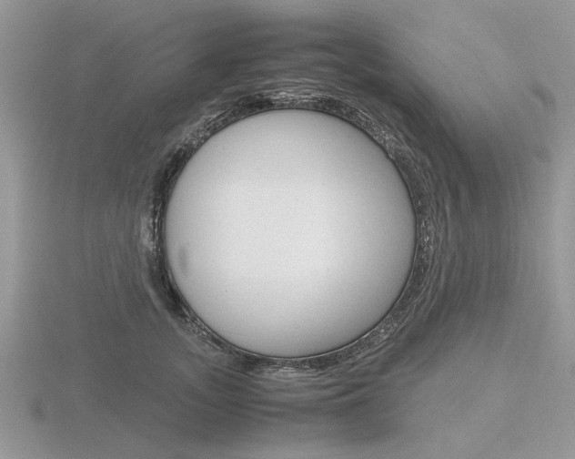 X0000116600755200912110939