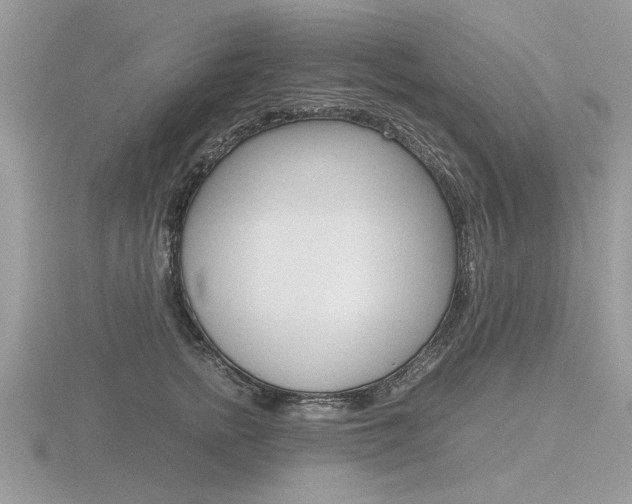 X0000116600758200912110939