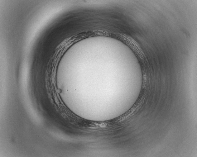 X0000116600765200912110940