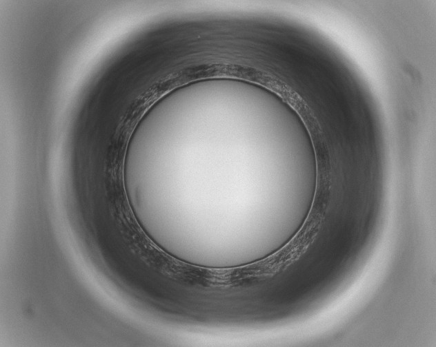 X0000116600766200912110940