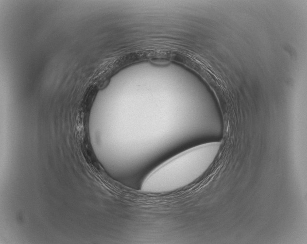 X0000116600771200912110939