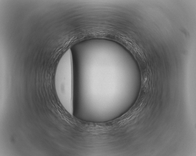 X0000116600772200912110939