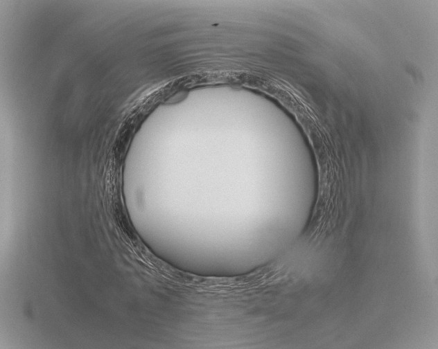X0000116600773200912110939